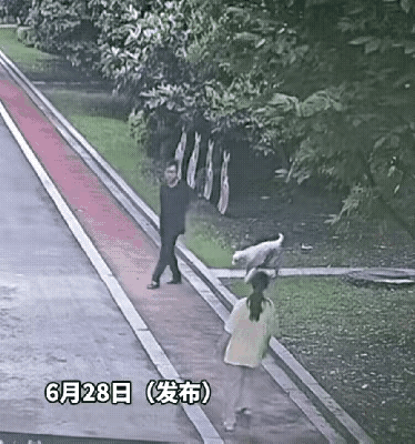 这样的行为你们怎么看？这个养狗男人缺德，养的狗向女孩子扑来，居然不管！城市养