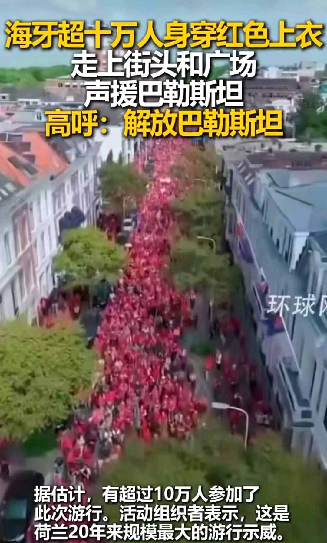 荷兰人怒了，十万人上街抗议---