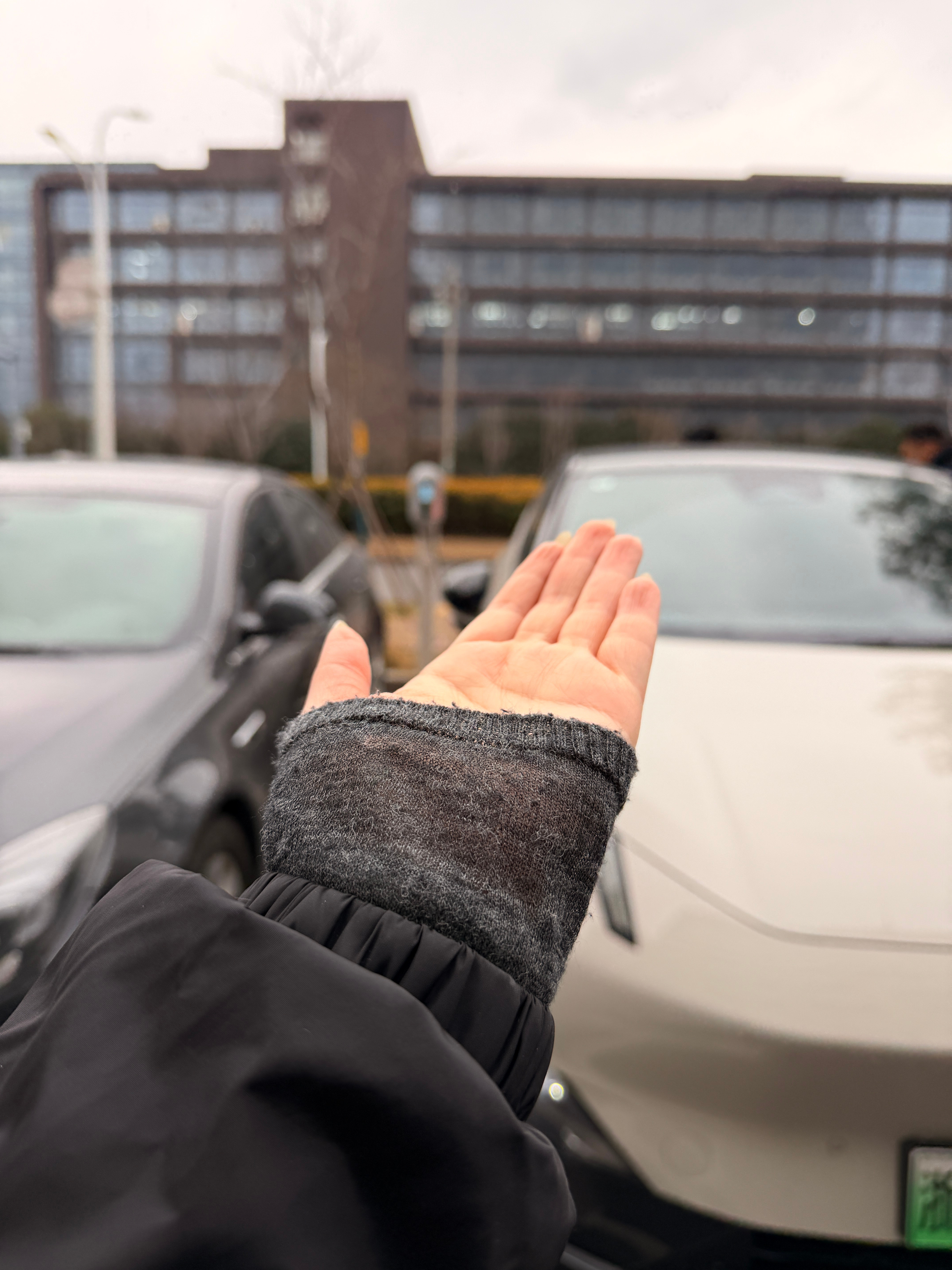 早哇不知道我拍的雪花❄️你们可能看到哈哈哈南方的雪真的是“零星小雪”嘉兴