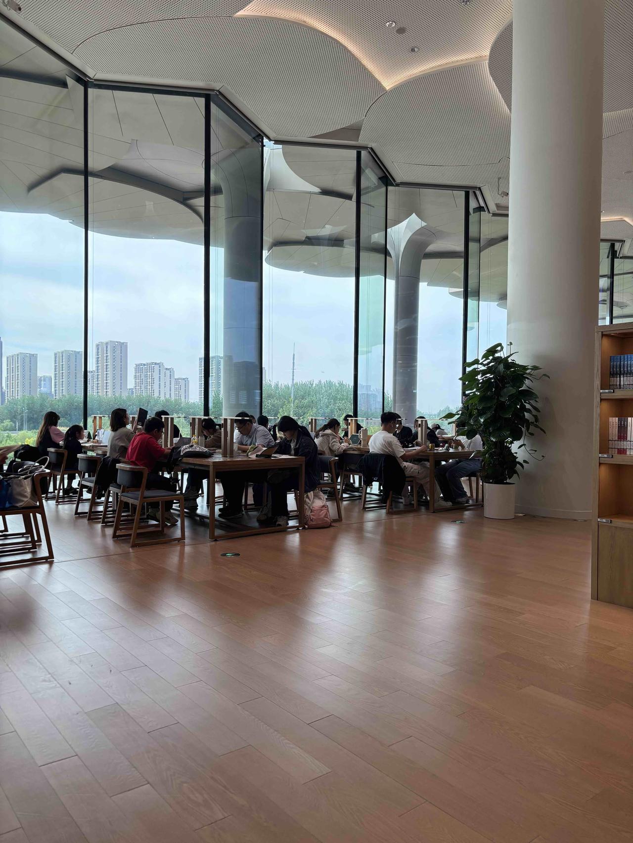 很多人看学霸都是提前学，于是也给孩子报提前学的班。但其实他们不知道，学霸之所以提