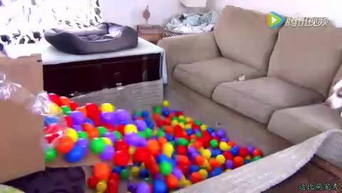 2373744028669968047.jpg?id=0