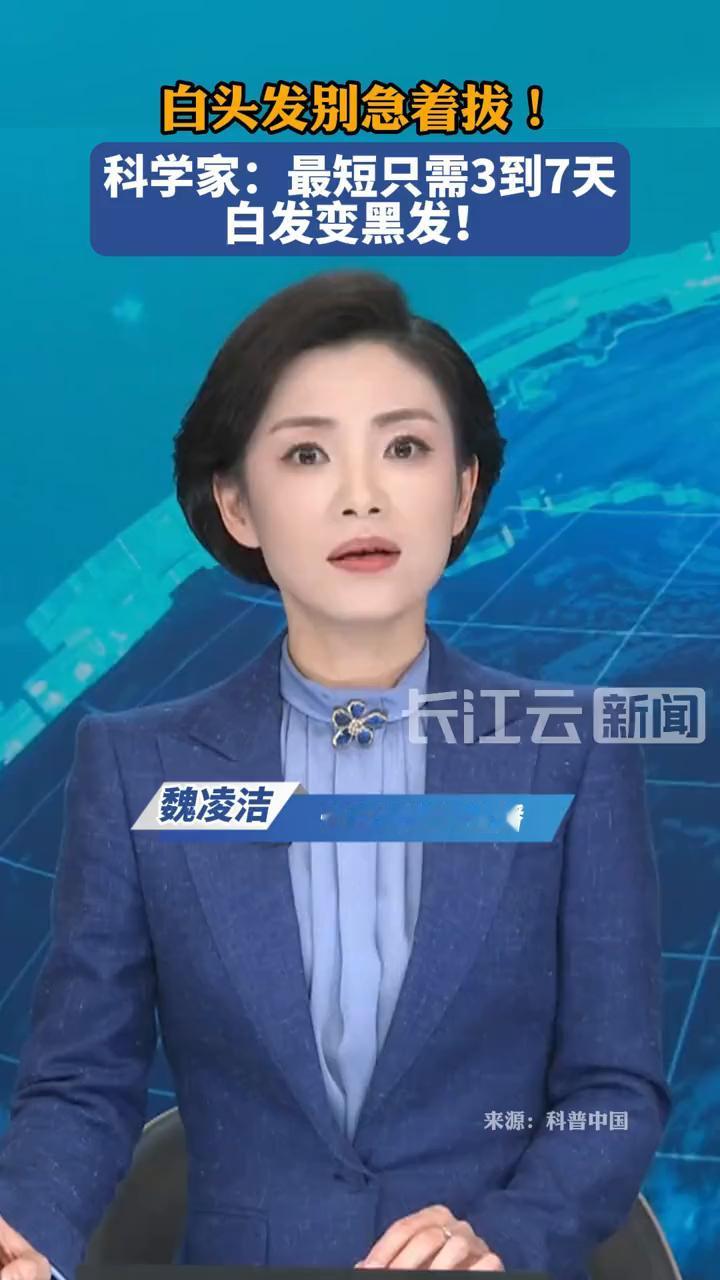 白头发别急着拔！科学家：最短只需3到7天，白发变黑发！长江云新闻主播魏凌洁。