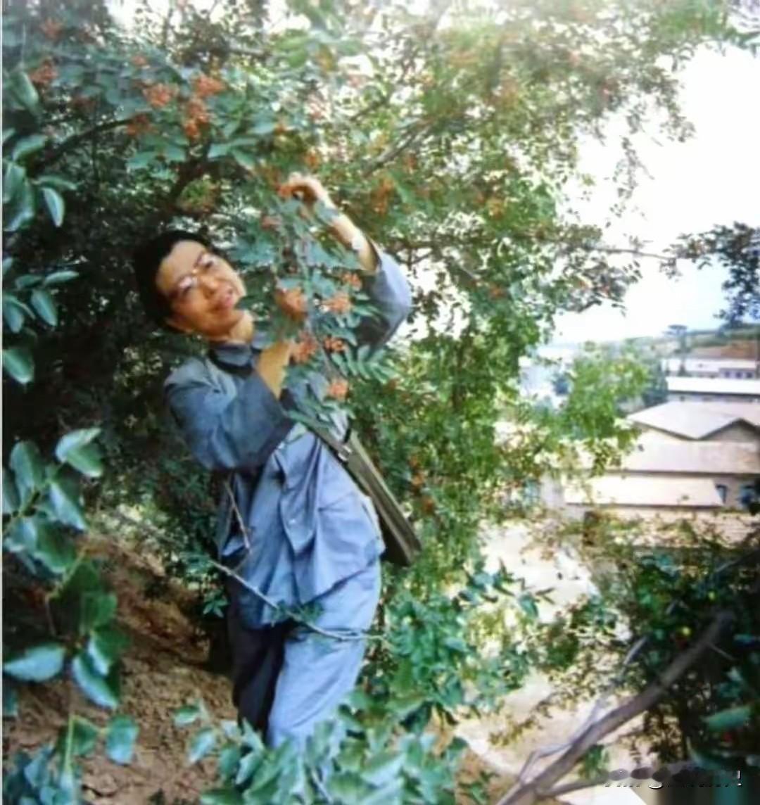 一张颠覆你认知的老照片！这张老照片拍摄于1975年9月，在山西大寨老虎山，一