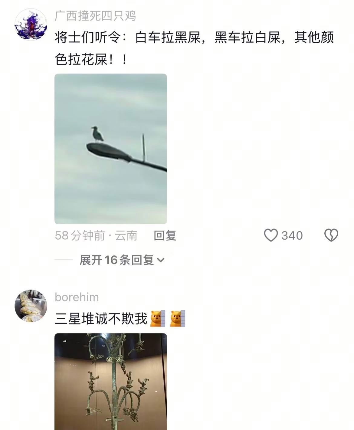 一个萝卜一个坑，大连一只海鸥一个灯🤣👌