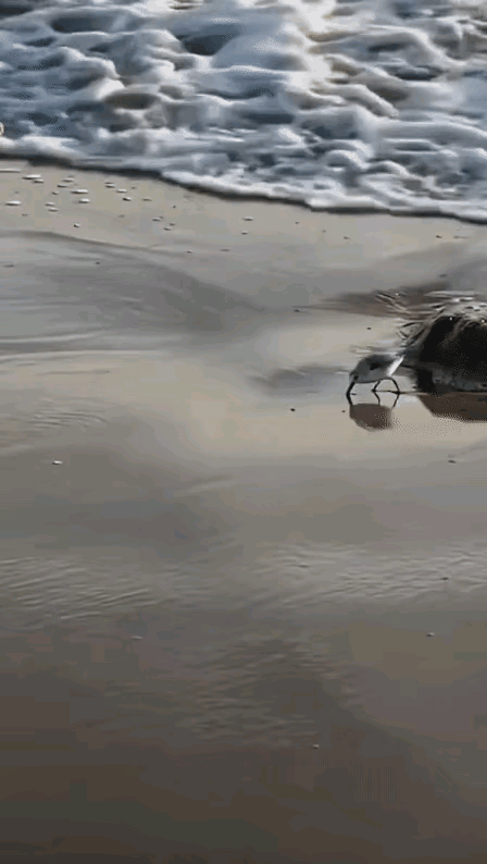 我有个看法，我觉得她很快乐。