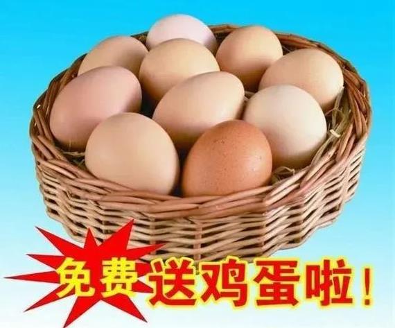 退休10年的老伴性格有些奇特，街头派发鸡蛋，她不会去领，养生课她也不会挤着去听，
