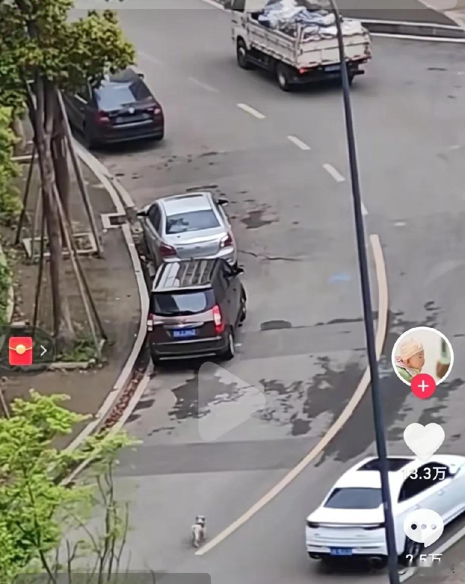 小狗下车撒尿，不愿再上车了，司机气得直跺脚，一气之下，既然你不愿上那就别上。于是