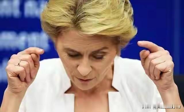 中美经济打一轮了，现在开始换成中欧经济贸易战了，不是欧洲不明白，也不是欧洲焦虑，