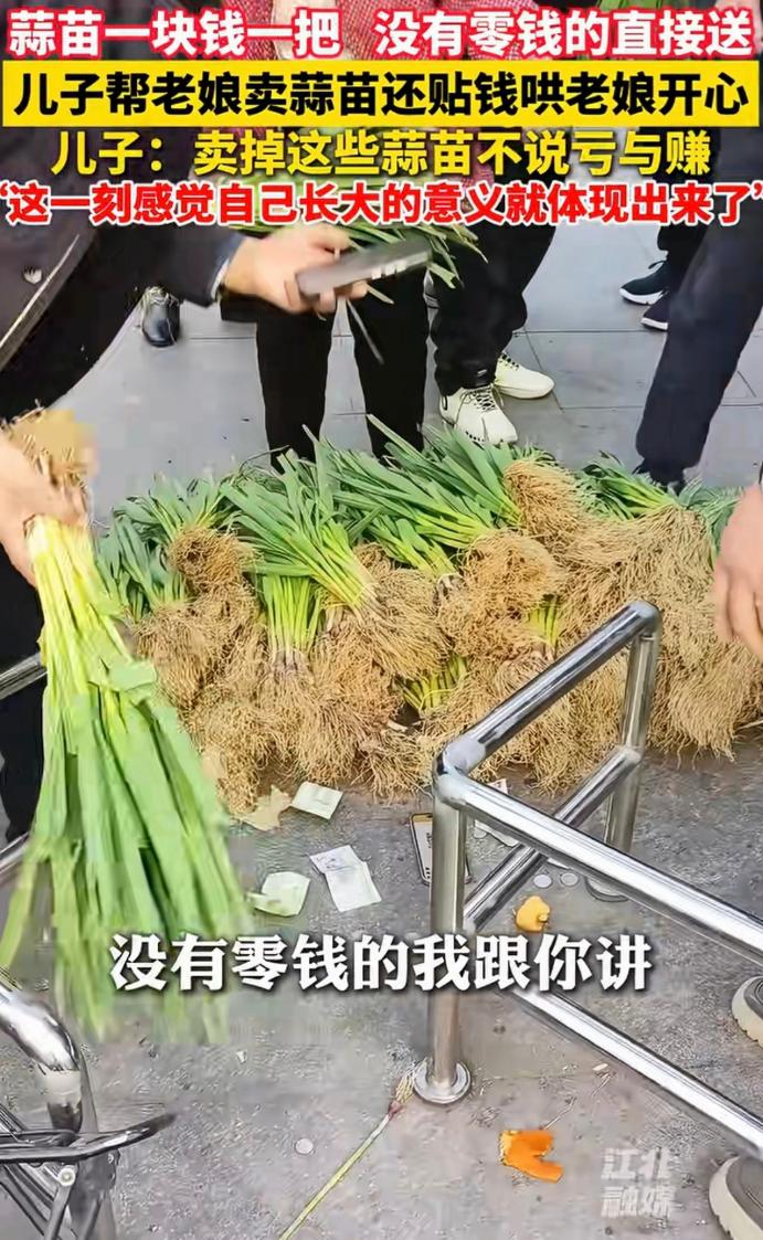 安徽蚌埠，有位母亲种的蒜苗没销路，让儿子处理。儿子拉到街上，一把只收一元，没带钱
