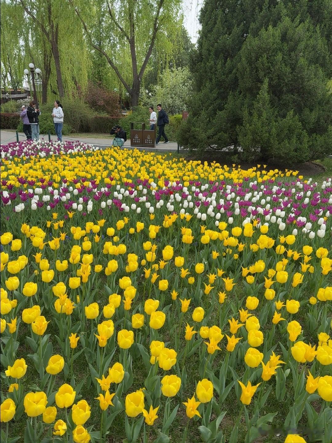 嘴有多好，命就有多好。我认识的一个人，从没有说过难听的话。无论是跟家人还是同