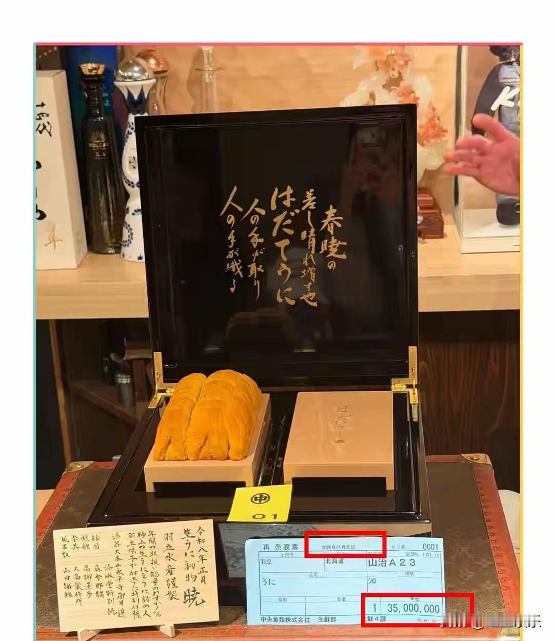 凌晨三点，你还在算下个月的花呗。王思聪把155万的海胆当夜宵。马尔代夫的海浪