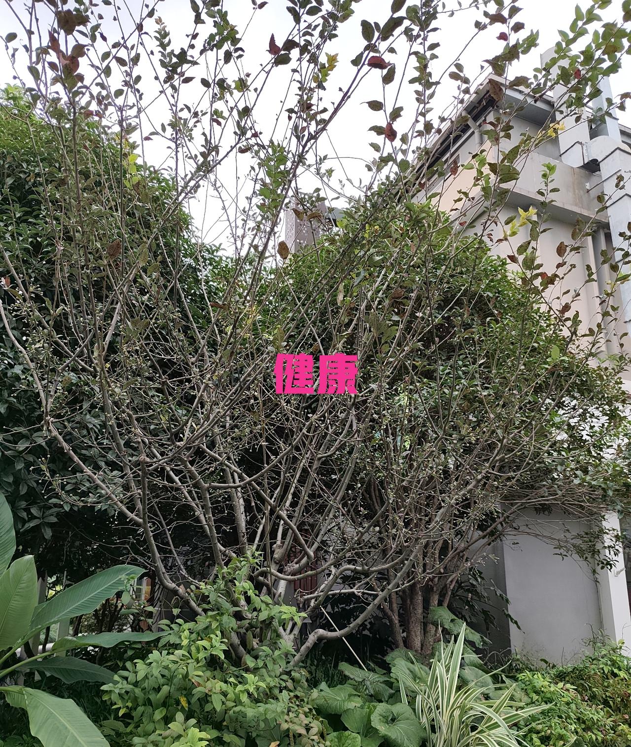 离开了灶台，做别的事情就容易忘，我也经常这样，熬点药茶或者热一下什么，时常仅仅是