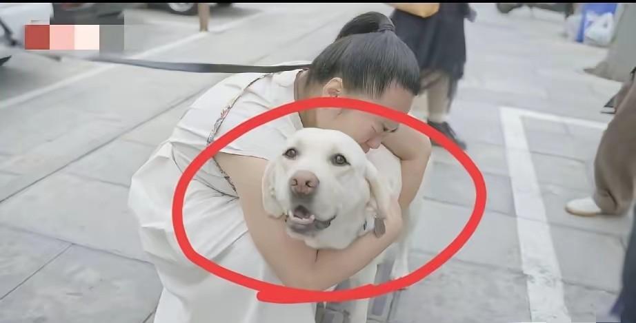 头都不回，是最好的说明！狗狗着急忙慌的走，义无反顾头也不回，这就是证据确凿，
