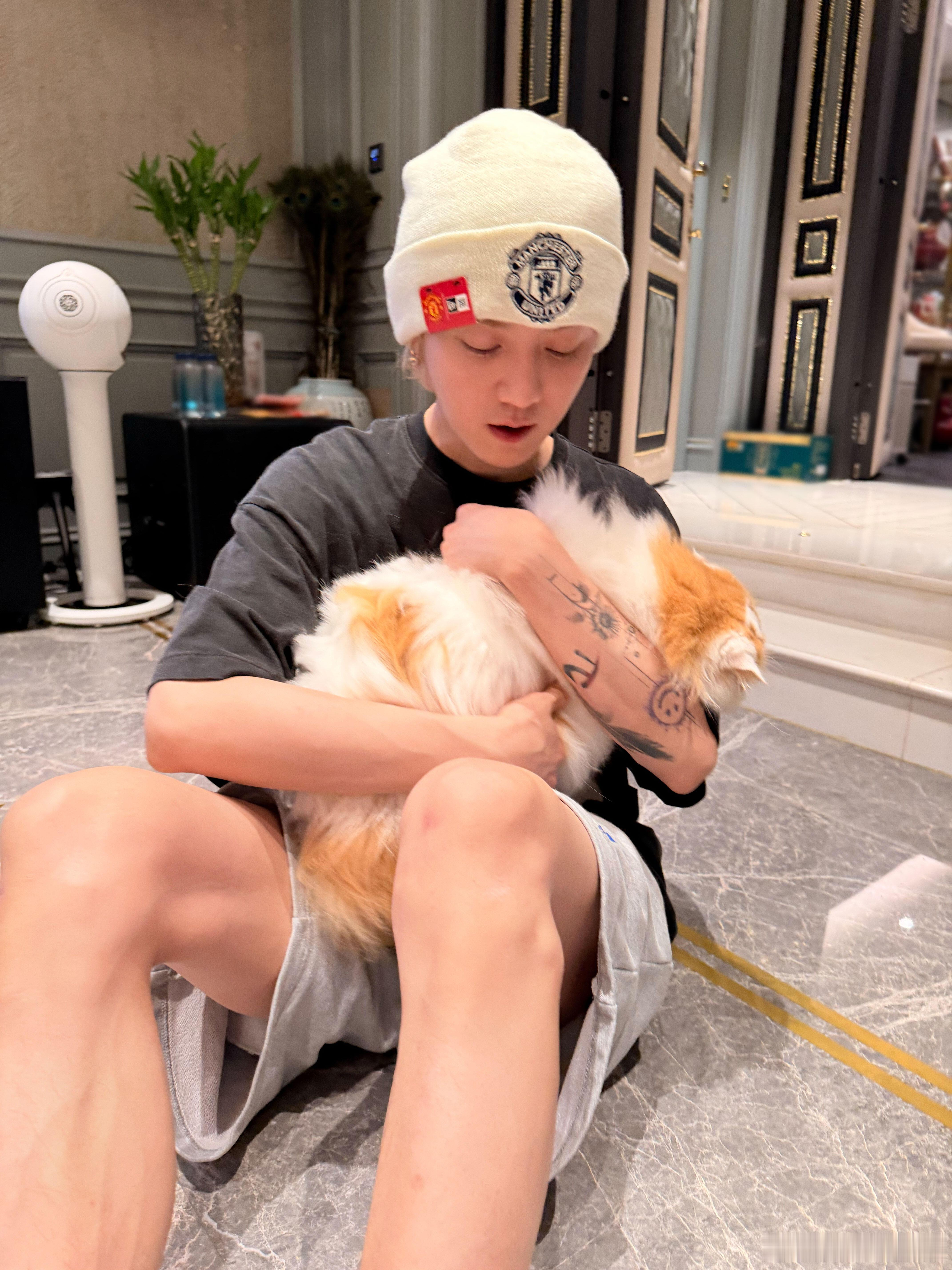 昨天是猫咪，今天是狗狗，鹿晗你真的是个理想老公