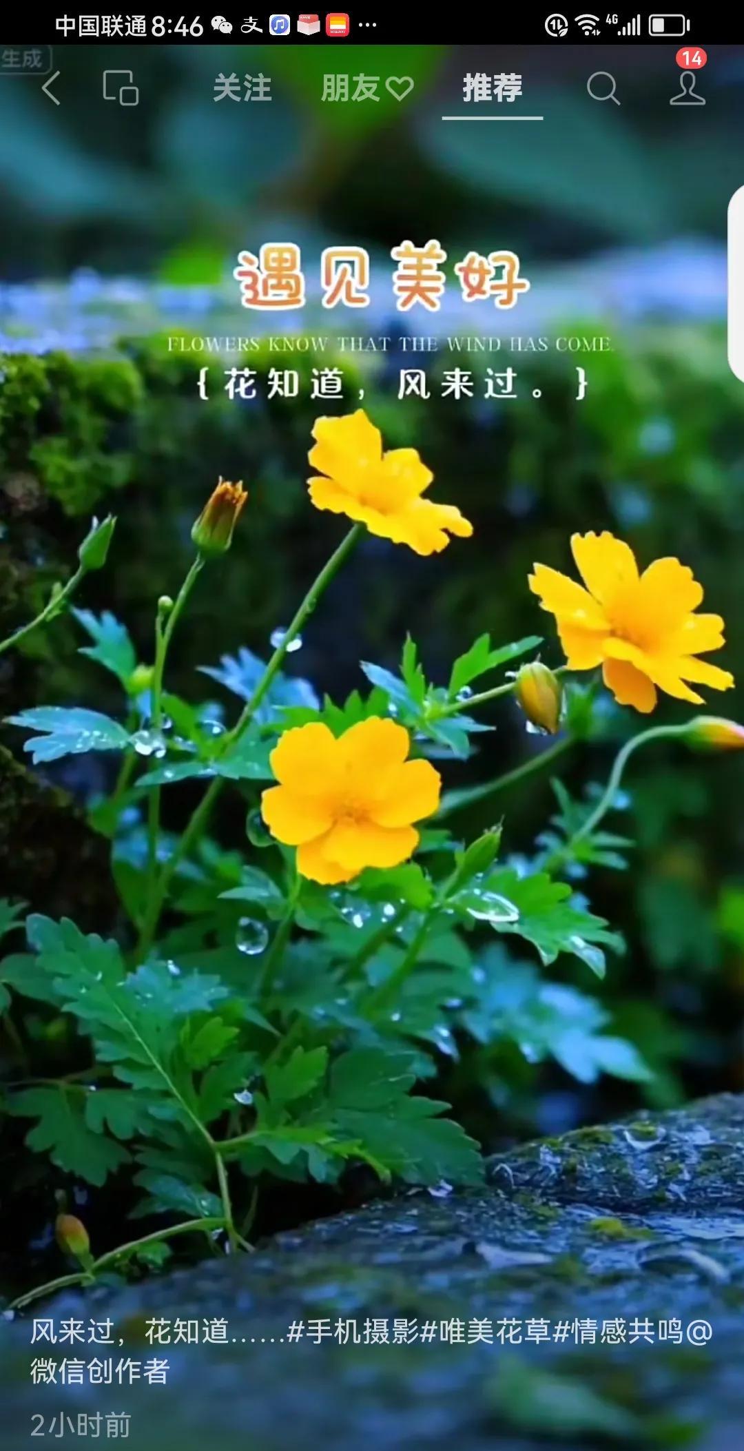 读书有啥用，没意思？上小学，认识本村的人上初中，认识本乡的人上高中，认识本