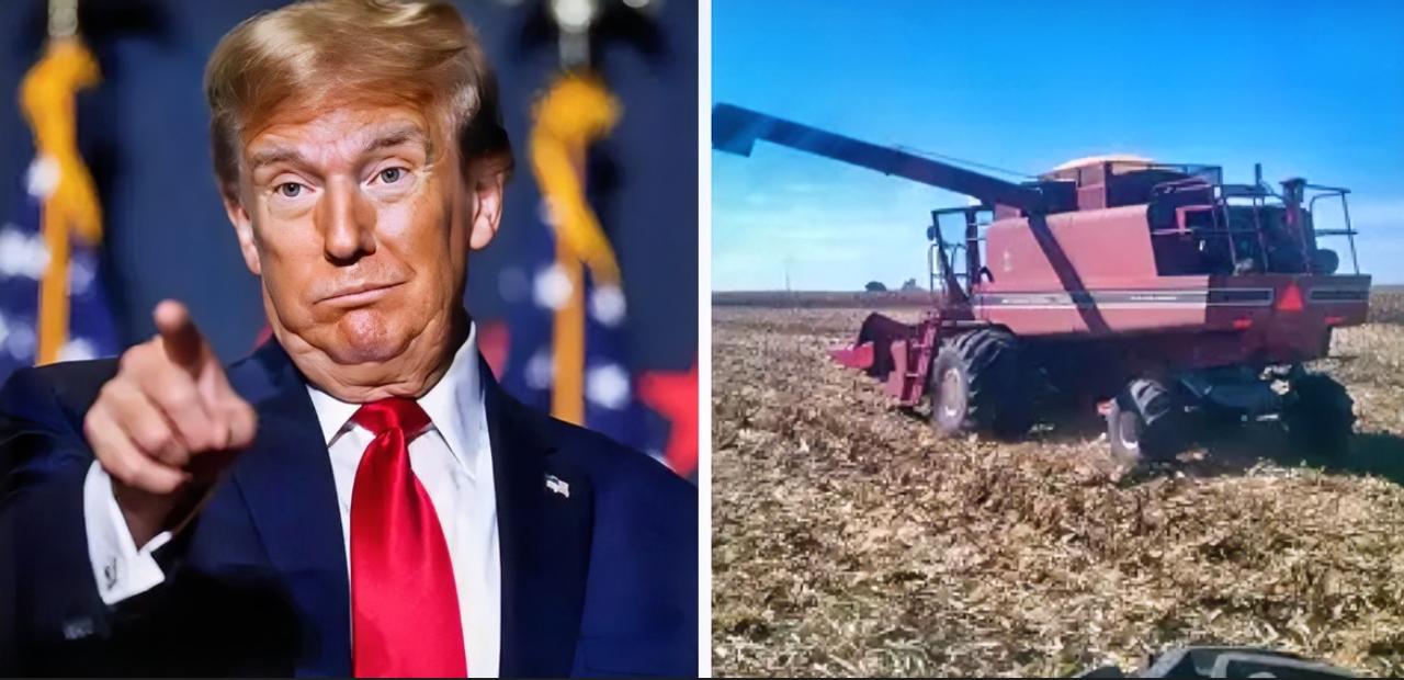 美国很急，中国取消订单当地时间12月17日，美国农业部宣布，中国已经取消进口美