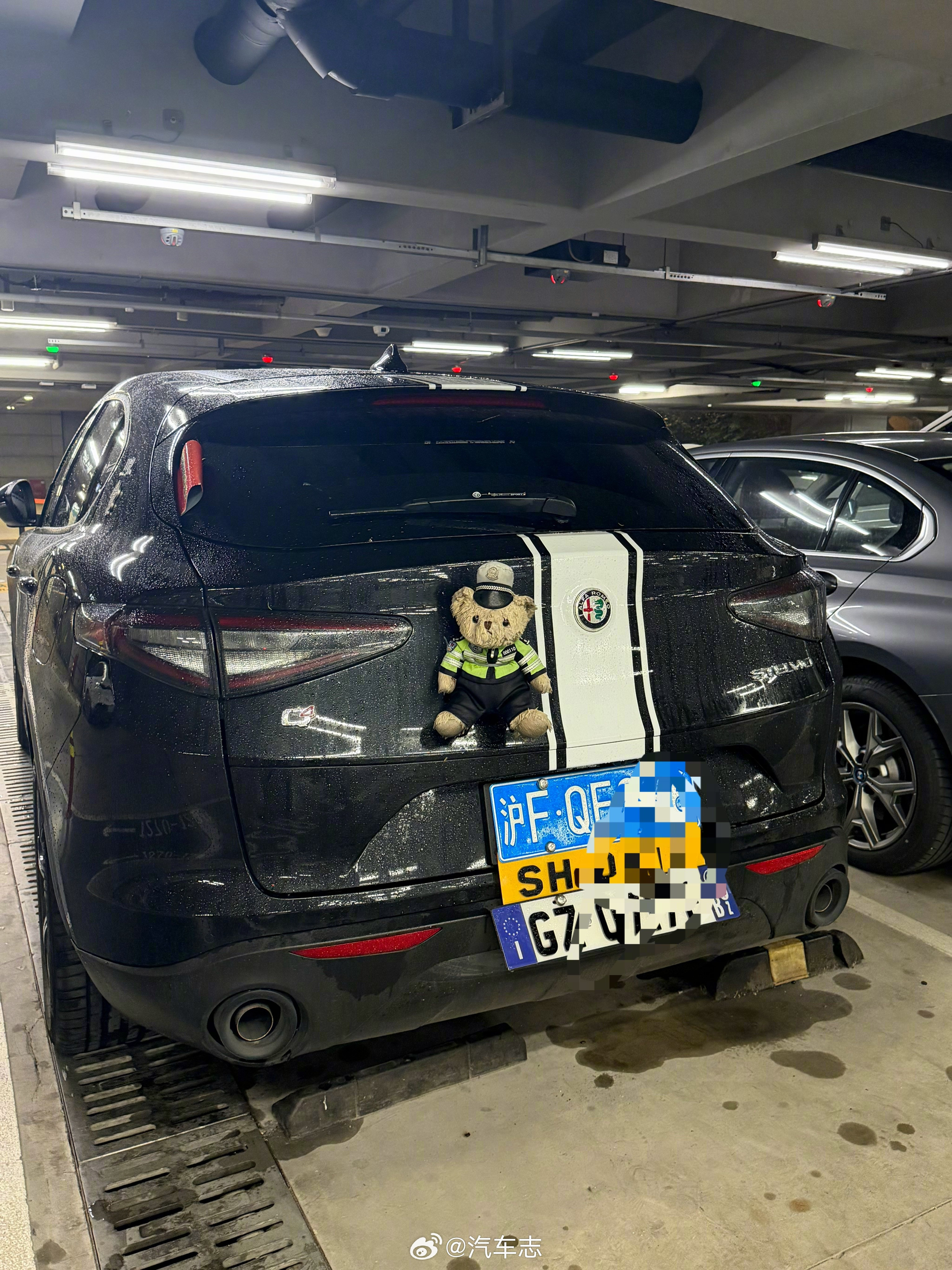 小众中的小众，三张车牌