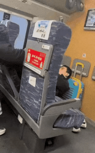 如果不是乘警过来,我都怀疑这个是他的爸爸和老公。