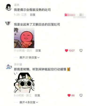 偶尔会假装没熟的吐司