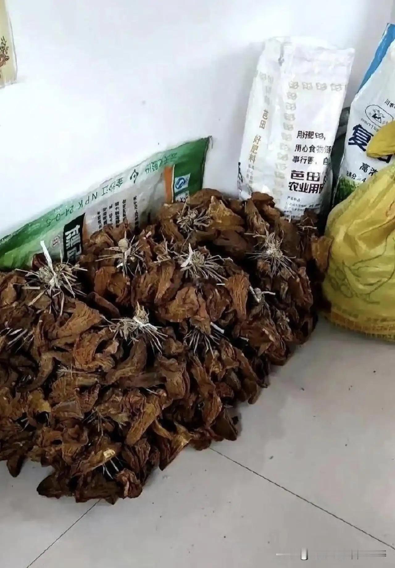 这才是真正的大户人家，太让人羡慕了！
