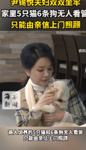 尹锡悦夫妇没有子女，两人酷爱宠物，一共饲养的5只猫和6条狗。过往，我们看过很多两