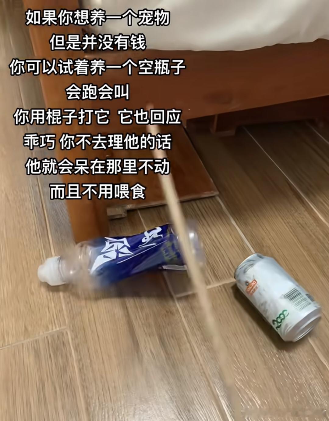 如果你想养宠物但是没有钱，请看VCR: