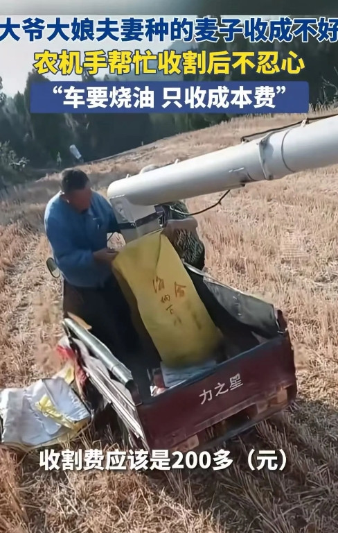 令人心酸！河南济源，男子开收割机帮一对老农户收割麦子，可是割完三亩地麦子只有2个