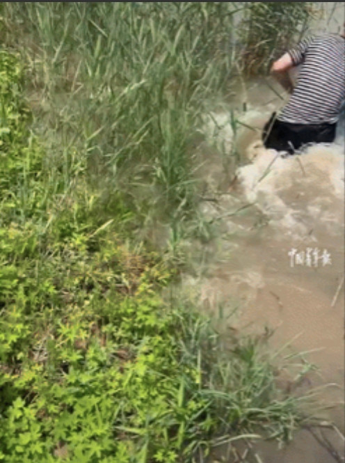 看哭了！河南濮阳，一电三轮失控冲进河里，车上的俩村民跟着落水，没多久，他俩就出现