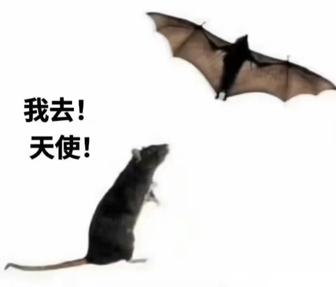 我笑点就这样了