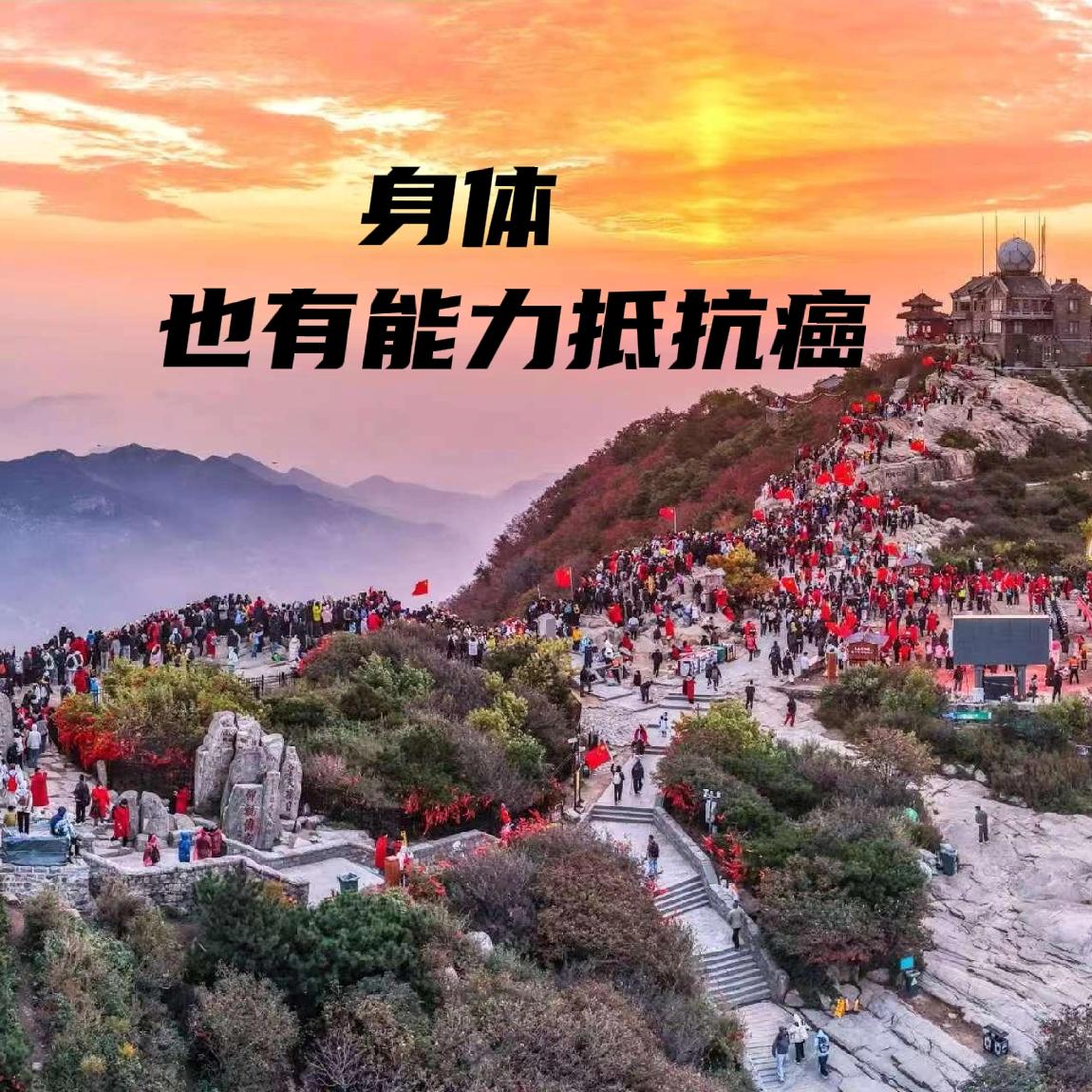 儿子的选择有道理。77岁了，胃癌，手术和化疗确实不是最好的选择。①大伤元气，