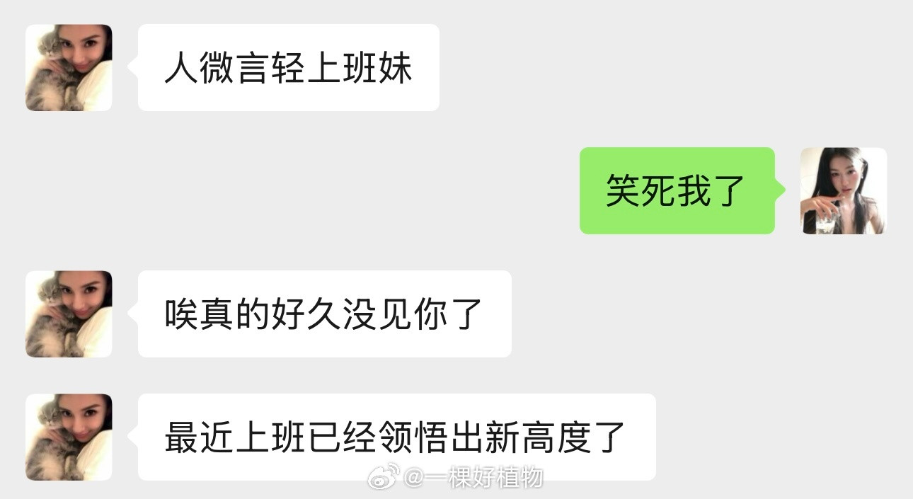 这就是我呀，一个普普通通的上班妹。​​​