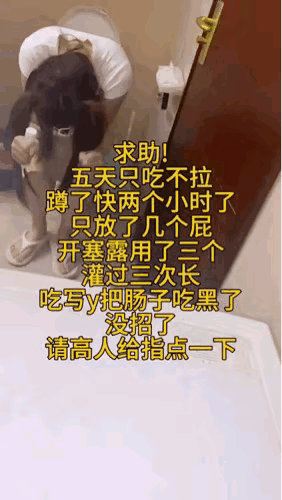不要坐马桶，蹲着就排出来了