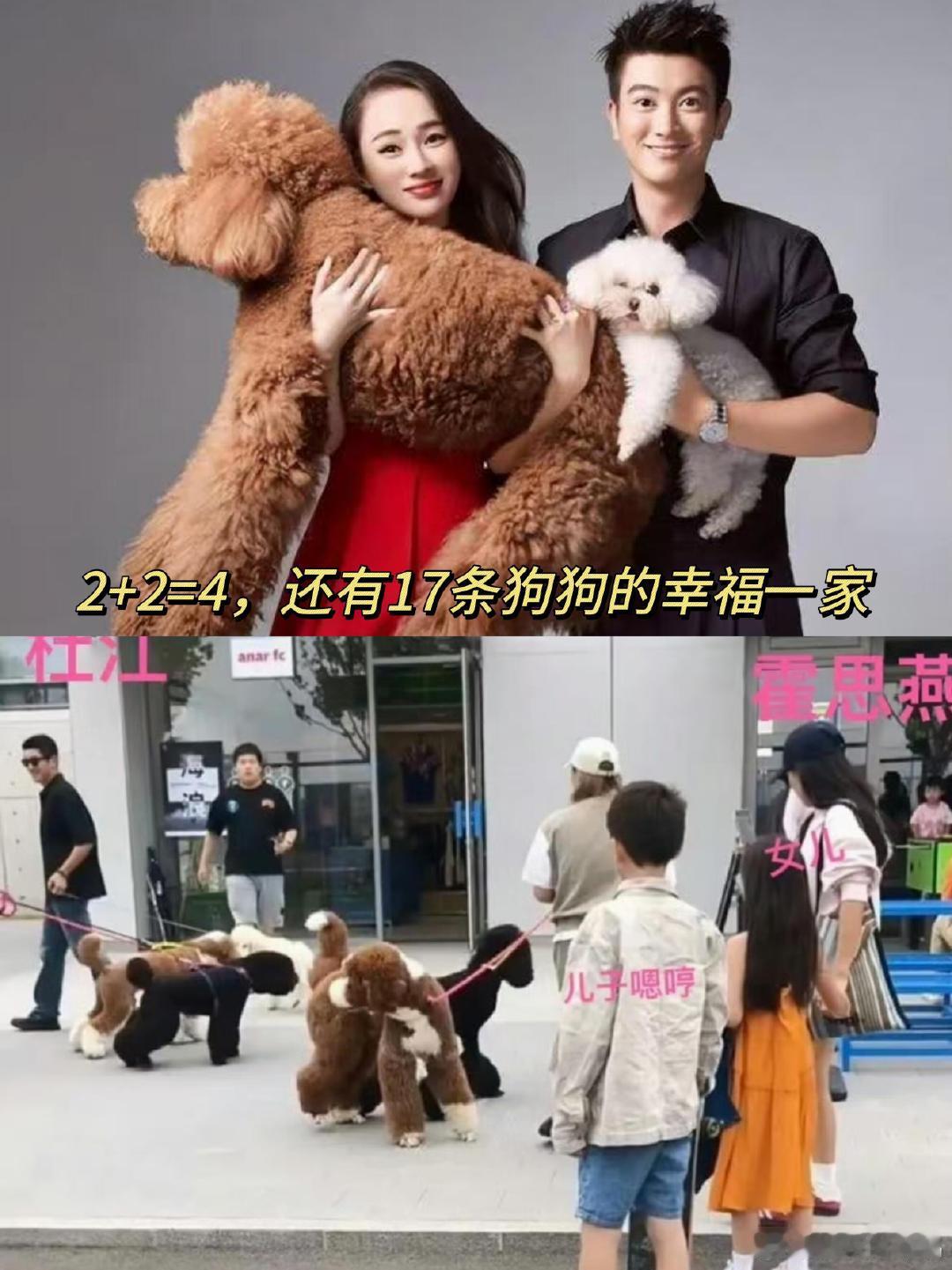 霍思燕的狗也是当上评委了谁能想到小狗还能当评委，霍思燕家杜光辉太争气。复刻主人的