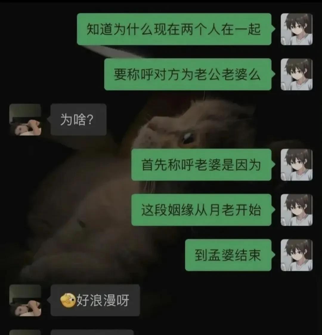 老公怎么说[doge]