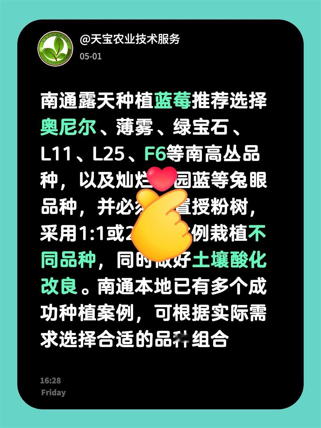 南通露天适合种植啥蓝莓品种？我回复了@白的评论：南通露天种植蓝莓推荐选择奥尼