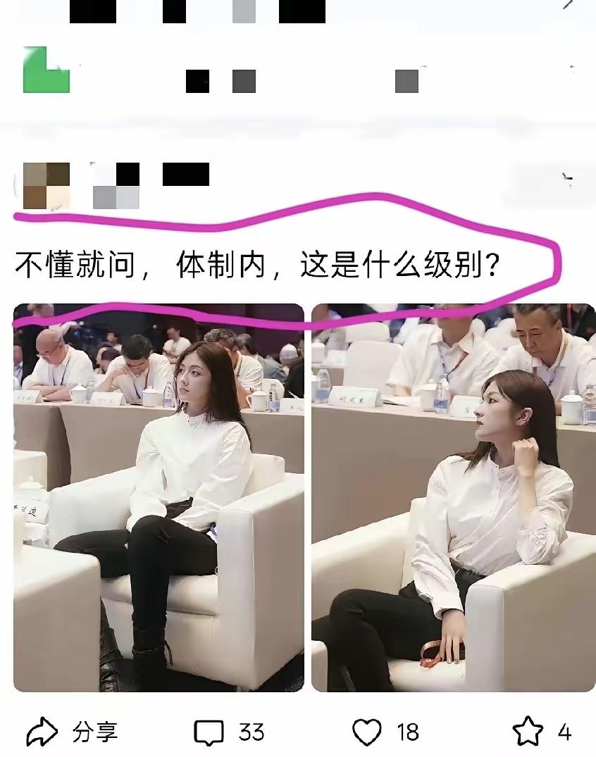这打扮放企业里是高管，放体制内……嗯，不好说。