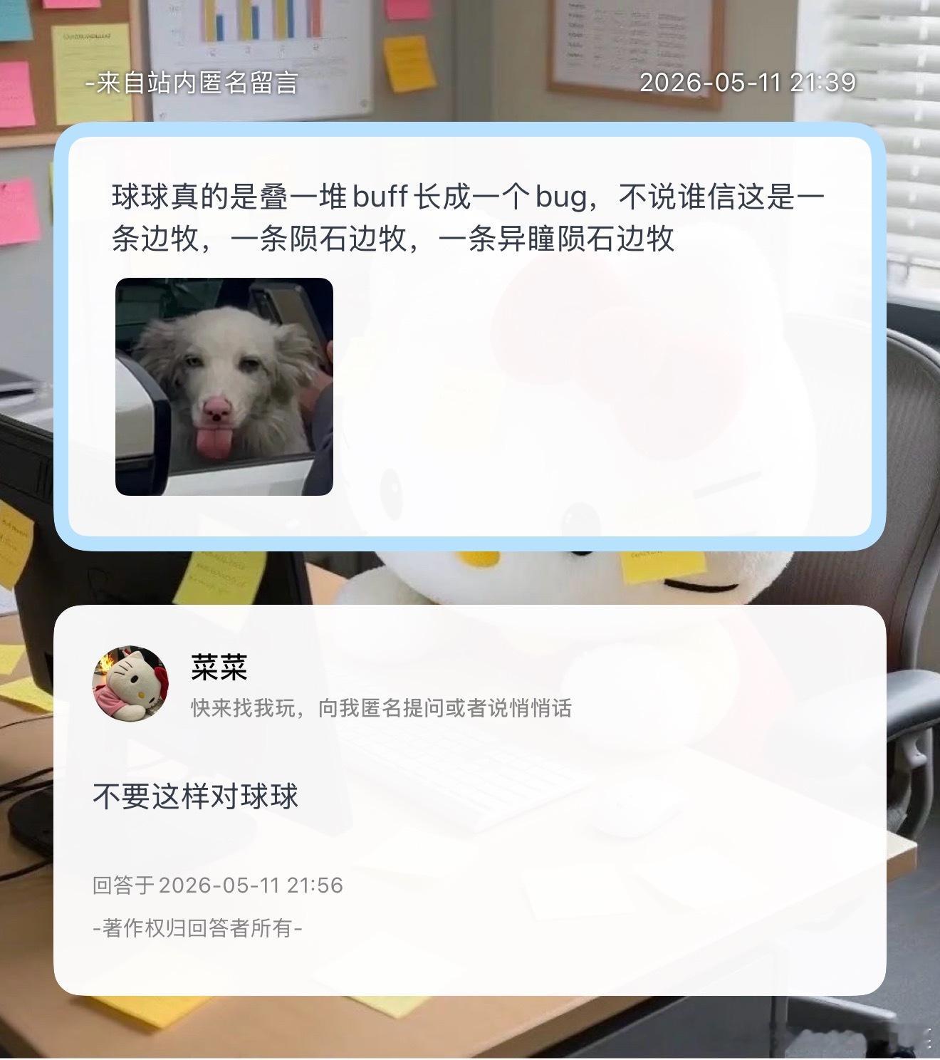 这个世界对球球太坏了