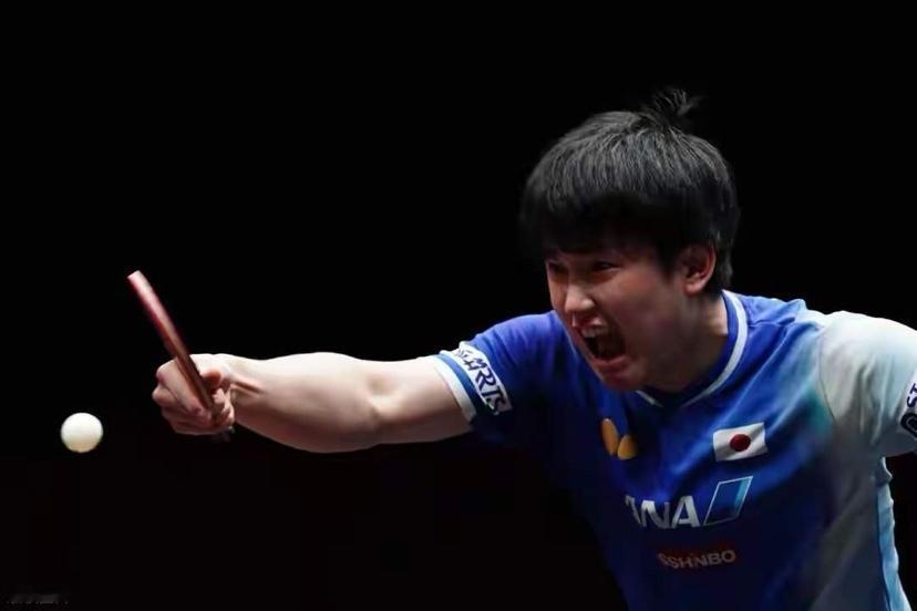 张本智和神机妙算！这小子有两下子张本智和在去香港参加世界乒联WTT赛