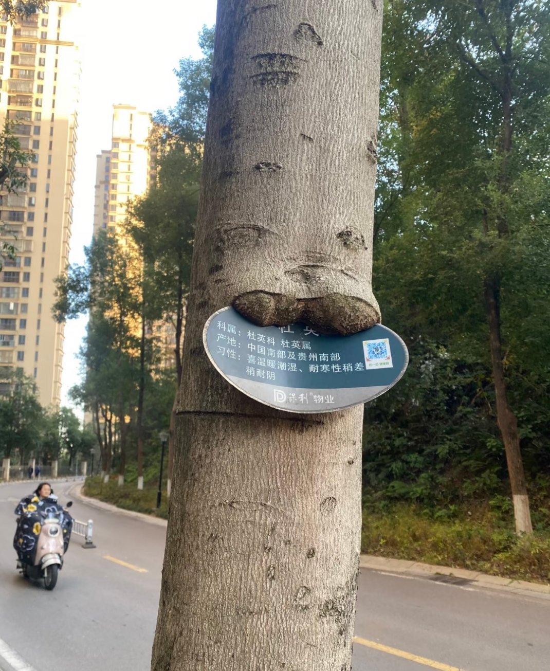还好夹住了，好像一个海豹搞笑​​​