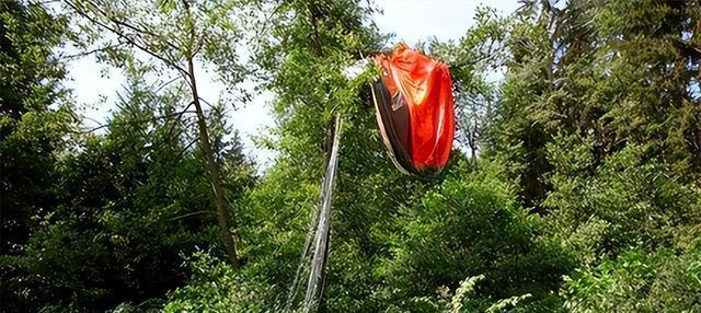 1988年，一架歼6战机在江西深山坠毁，飞行员何茂生死里逃生，被三名采松香的农民