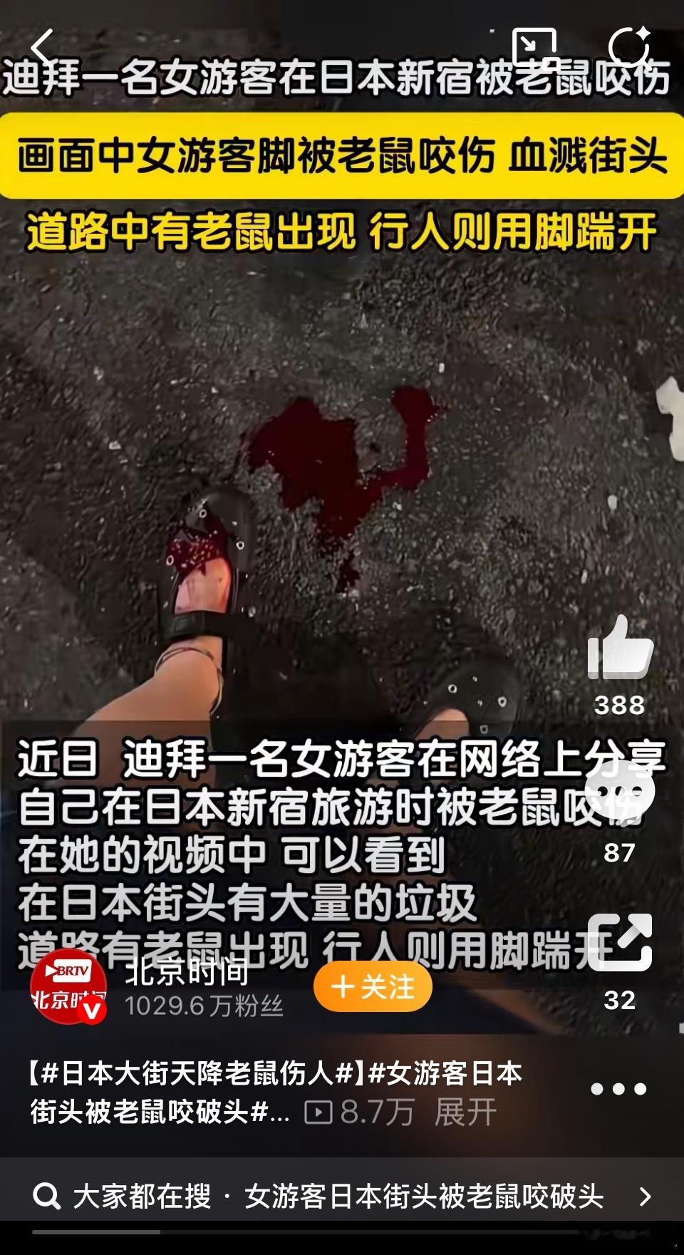 日本大街天降老鼠伤人说好的日本地面很干净，没有垃圾呢。这个迪拜女游客说，在日本街