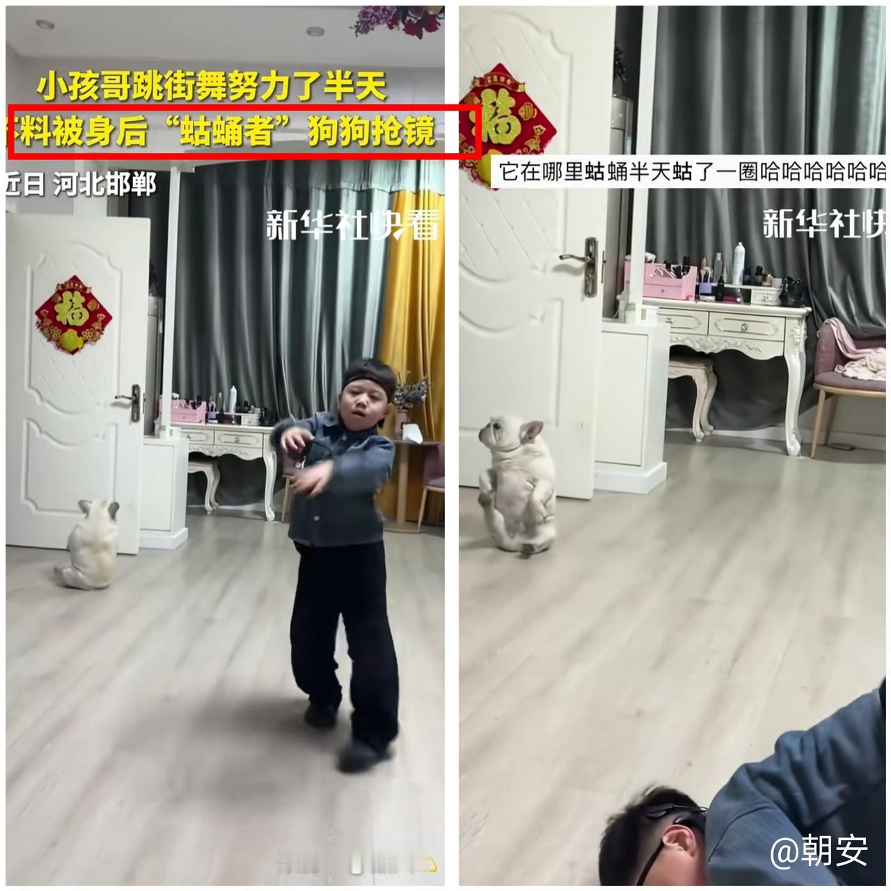 小孩哥跳街舞有多拼？卡点摆动作、架势超标准，一看就是课后反复练习的狠角色！