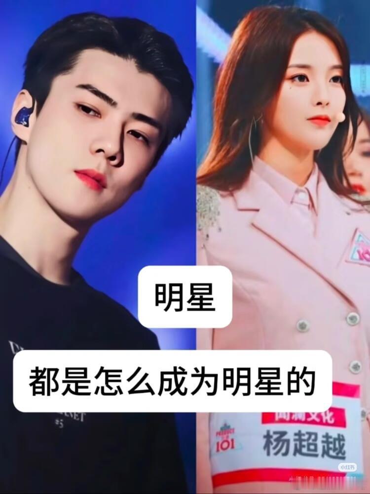 明星们都是怎么成为明星的🎬