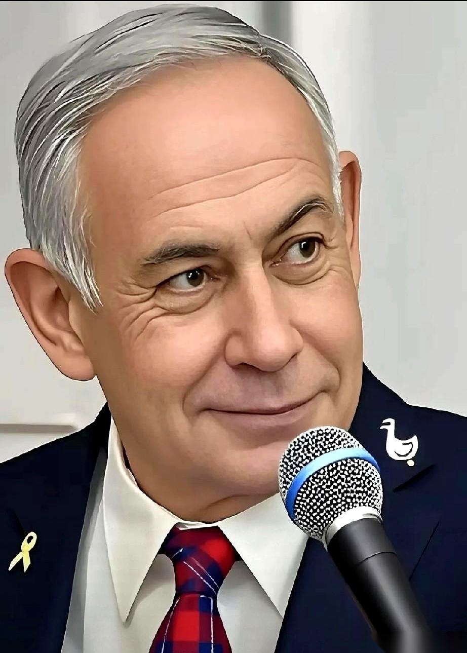 内塔尼亚胡的一张嘴，直接撕掉了美国外交最后的一层遮羞布。4月14日，这位以色列