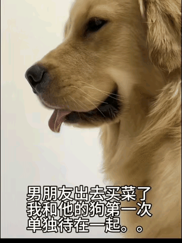 这家伙的眼神看我好像有点不爽啊[抠鼻]