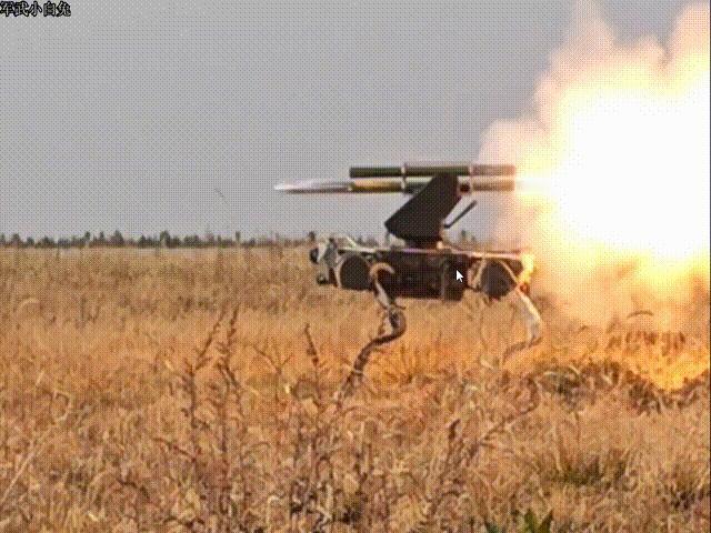 国产战斗机器狗可搭载4～12枚ZT-100型火箭弹（配备穿甲、杀爆等战斗部），