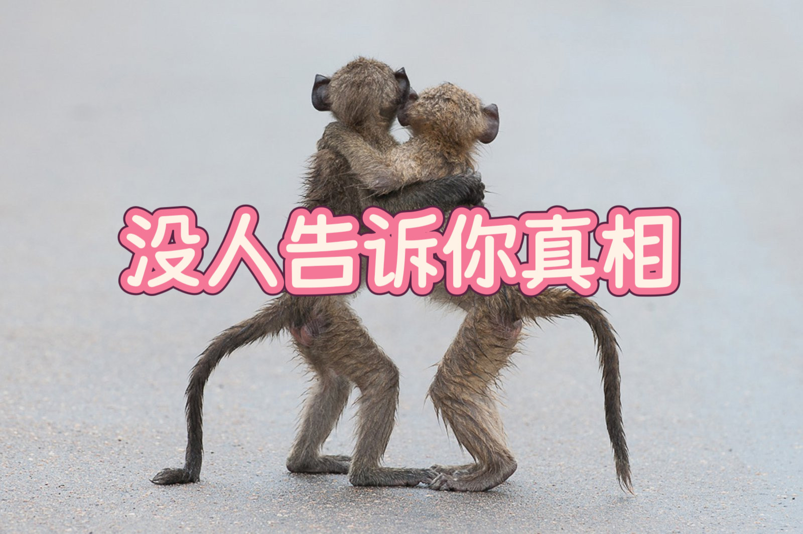 《没人告诉你真相》有视频博主说，他500万放余额宝每天309块利息，足够他生