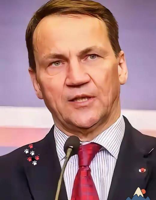 波兰正式宣布了 波兰这次直接把欧盟的“面子”搁在了一边，当地时间10月29日