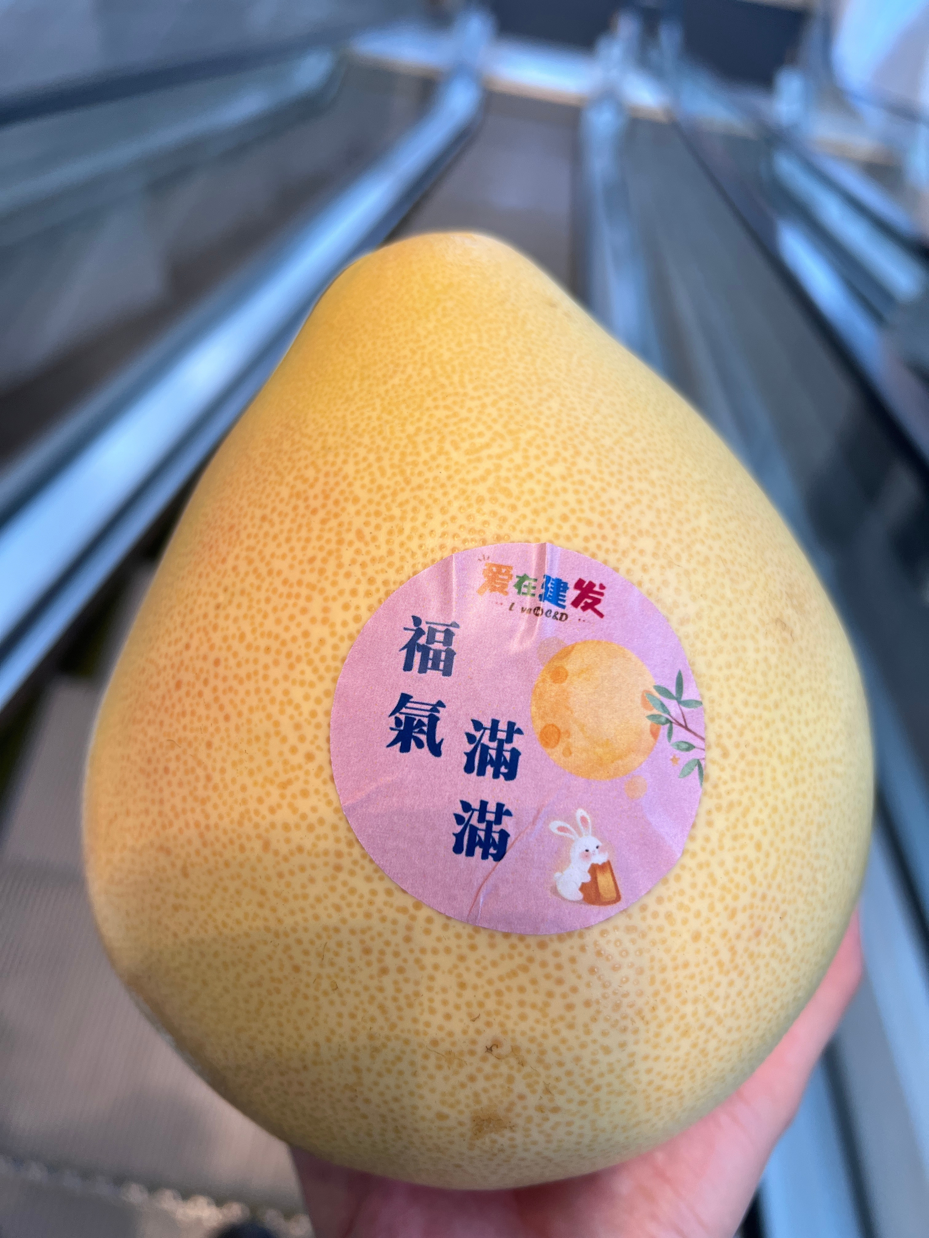 不想上班，这福气给你吧​​​