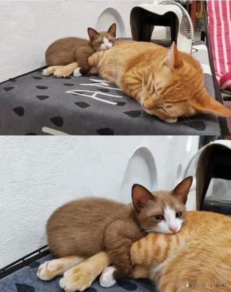 👶：抱大腿[爱心]，抱麻麻的大腿～​​​